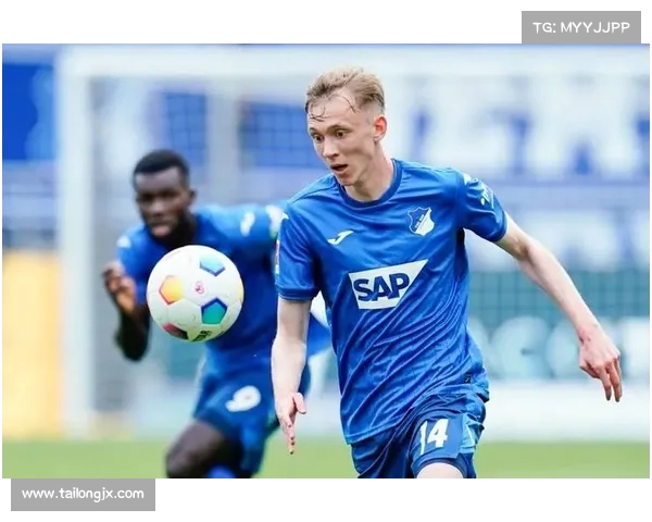 霍芬海姆足球队:德甲劲旅崛起之路与未来发展潜力分析 霍芬海姆足球队:德甲劲旅崛起之路与未来发展潜力分析